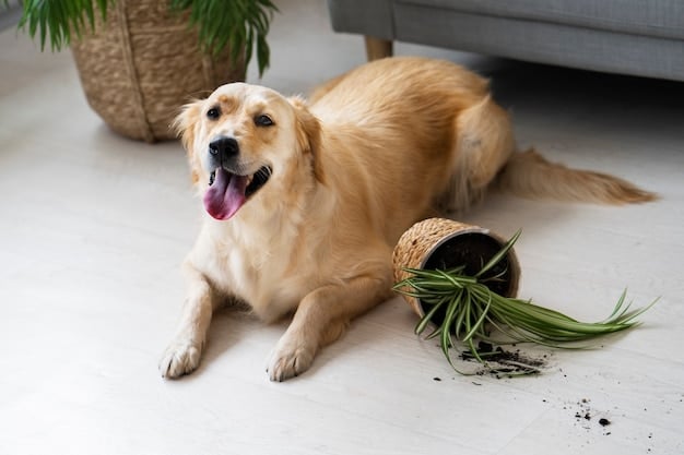 Is Burning Sage Safe for Dogs? In-depth Look for Pet Owners